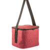 HSB_3035 Reliable 10 Litre Yalıtımlı Soğutucu Yemek Taşıma Çantası - 20x25x20 cm